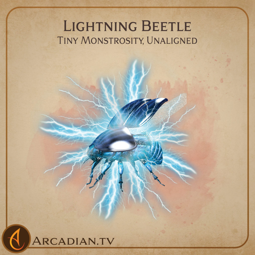 Lightning Beetle card 1