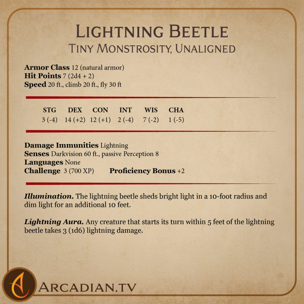 Lightning Beetle card 2