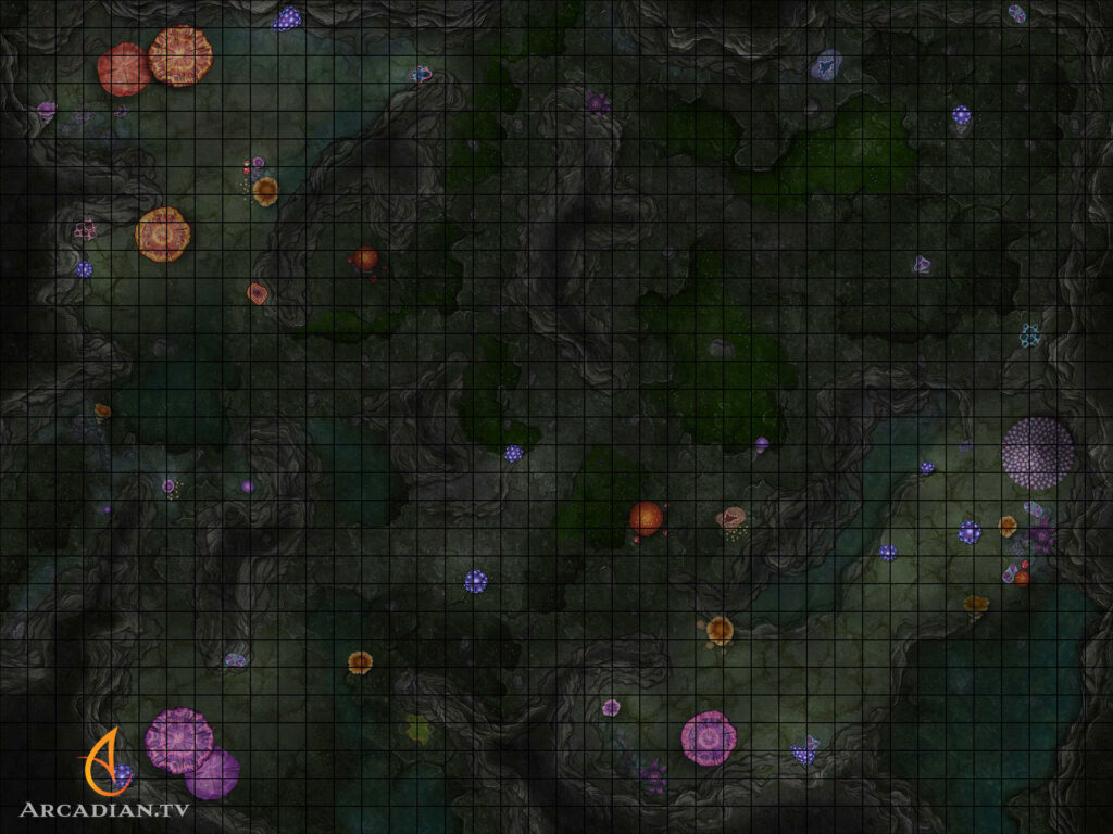 Fungoid Cavern battle map
