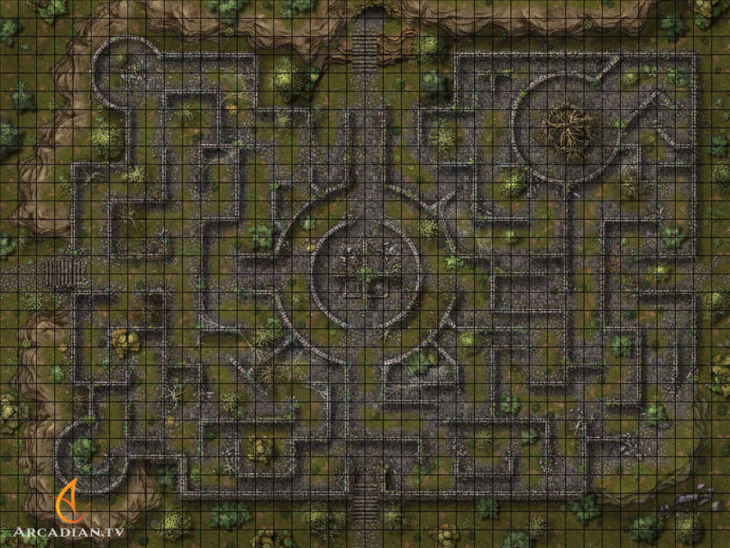 Forest Maze battle map